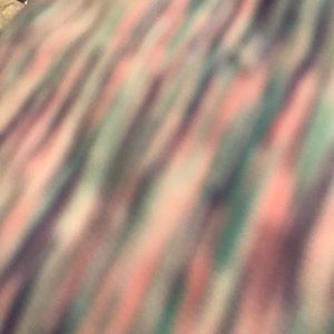 Meet your Posher, Dana